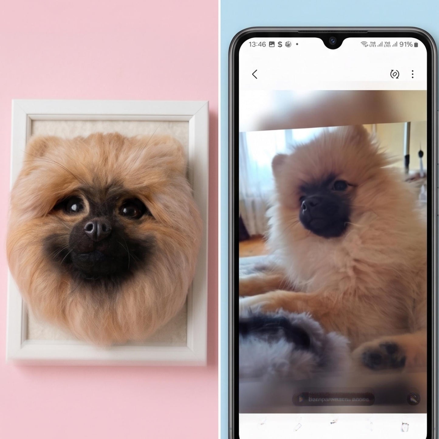Custom Needle Felted Pet Portrait